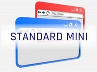 strony internetowe standard mini