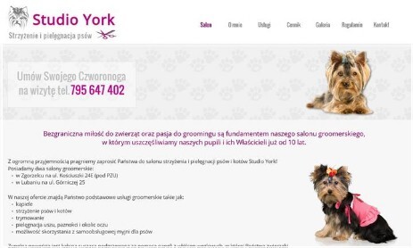 Studio York - strzyżenie i pielęgnacja psów